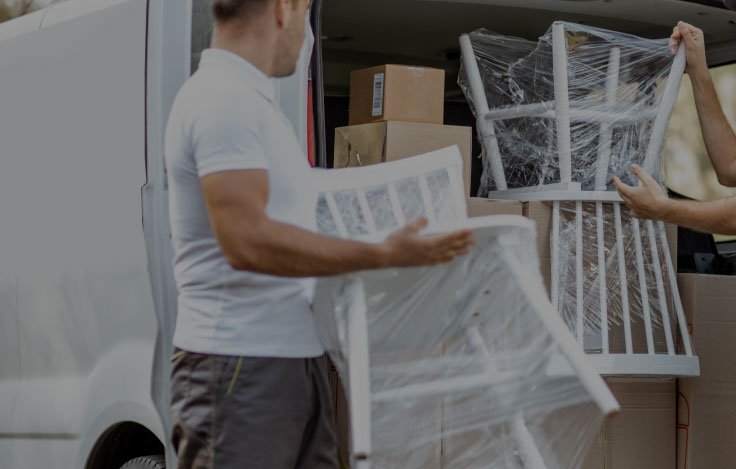 Image hover effect image